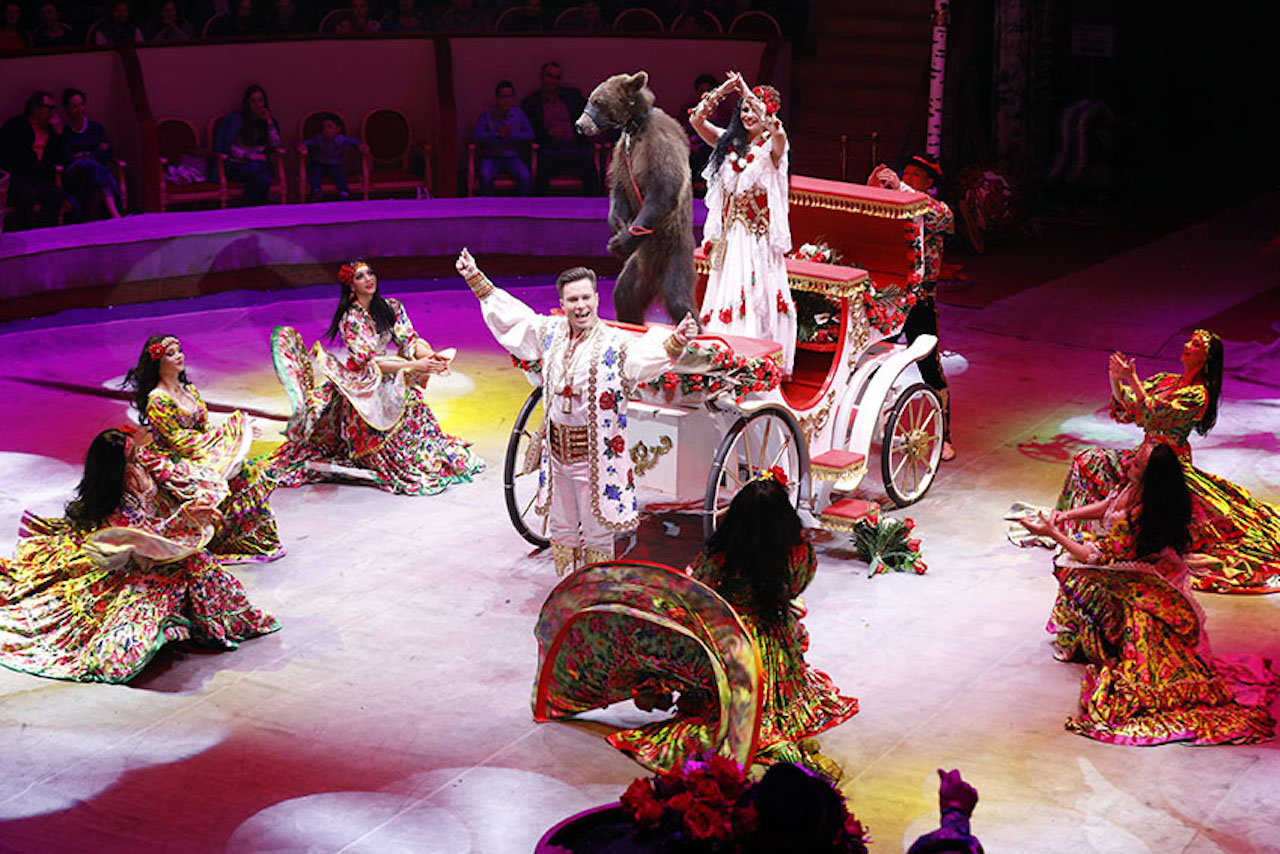 &laquo;Баронеты&raquo; снова выйдут на сцену Нижегородского цирка (ФОТО) - фото 6