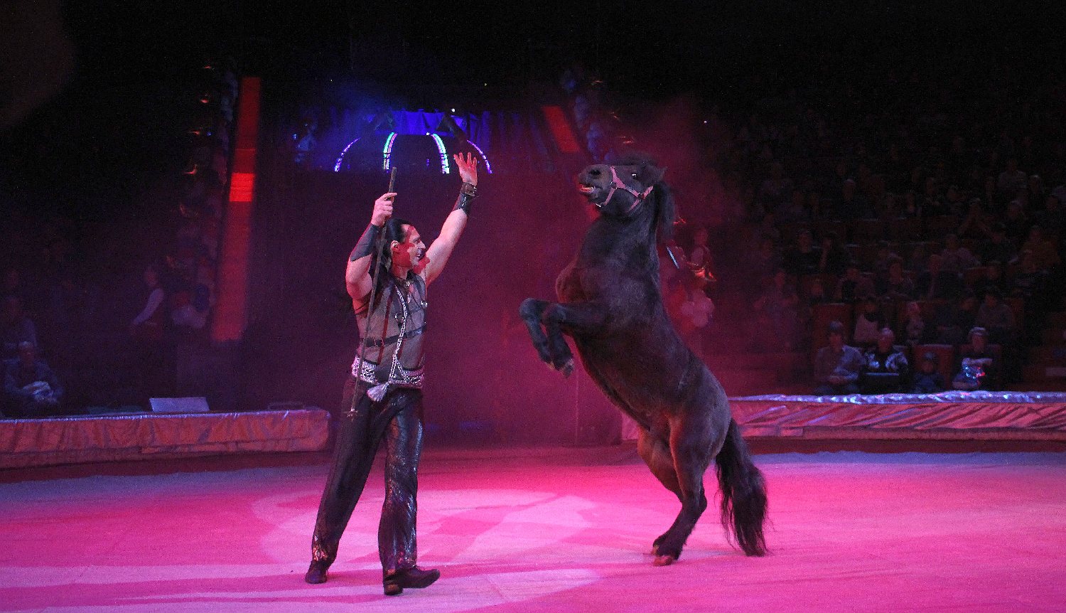 Летающий медведь и &laquo;Колесо смелости&raquo;: нижегородский цирк приглашает в &laquo;Звездный круиз&raquo; (ФОТО) - фото 8