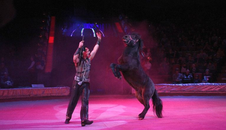Летающий медведь и &laquo;Колесо смелости&raquo;: нижегородский цирк приглашает в &laquo;Звездный круиз&raquo; (ФОТО) - фото 33