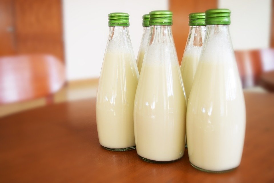 Антибиотики и растительный жир: кто из производителей молока обманывает россиян - фото 7