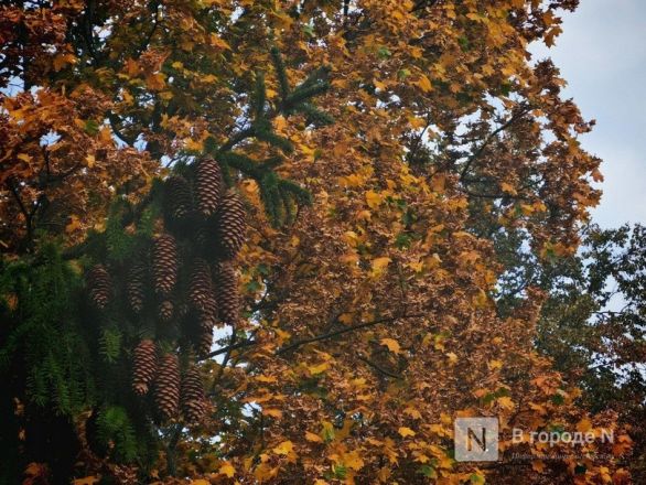 Та самая пушкинская осень: уютный фоторепортаж из Большого Болдина - фото 34