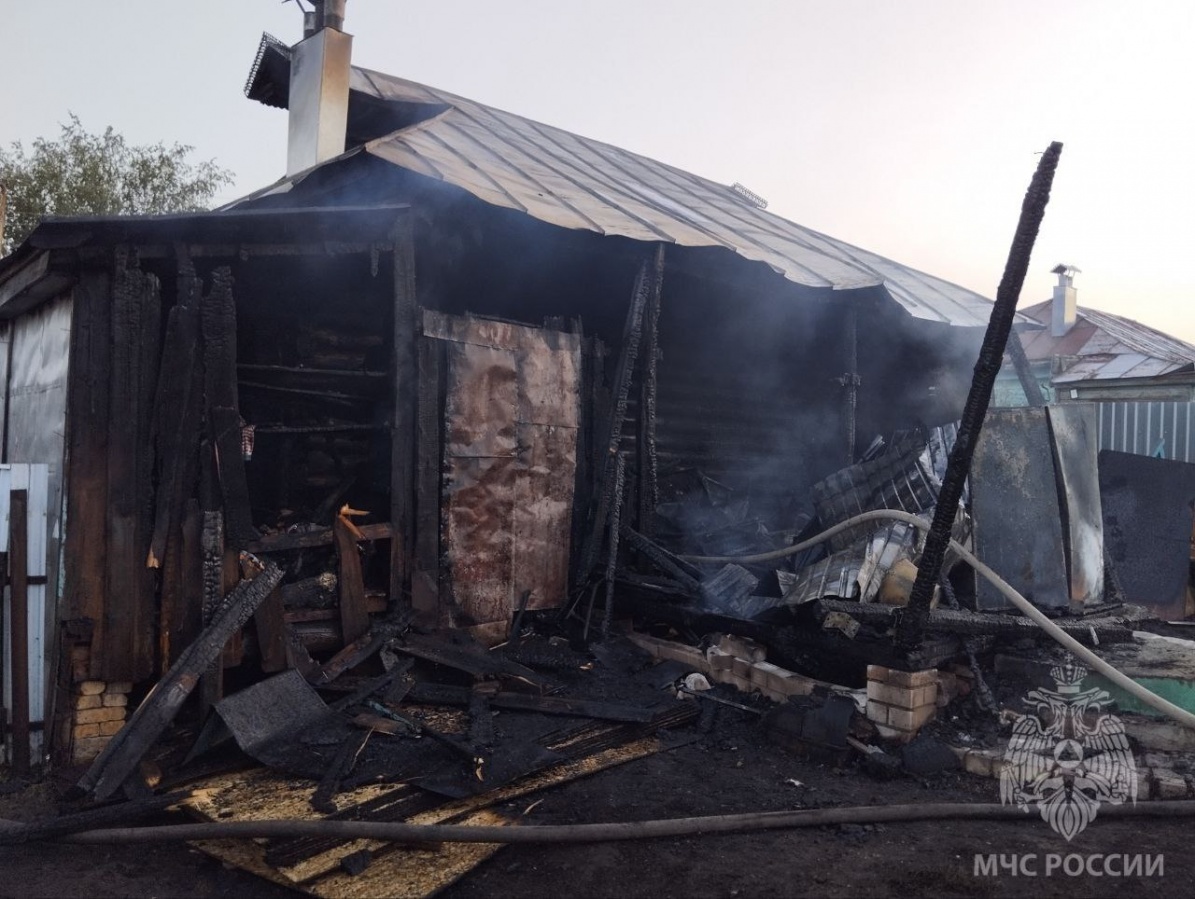 Мужчина и семилетний ребенок погибли на пожаре в Нижегородской области - фото 1
