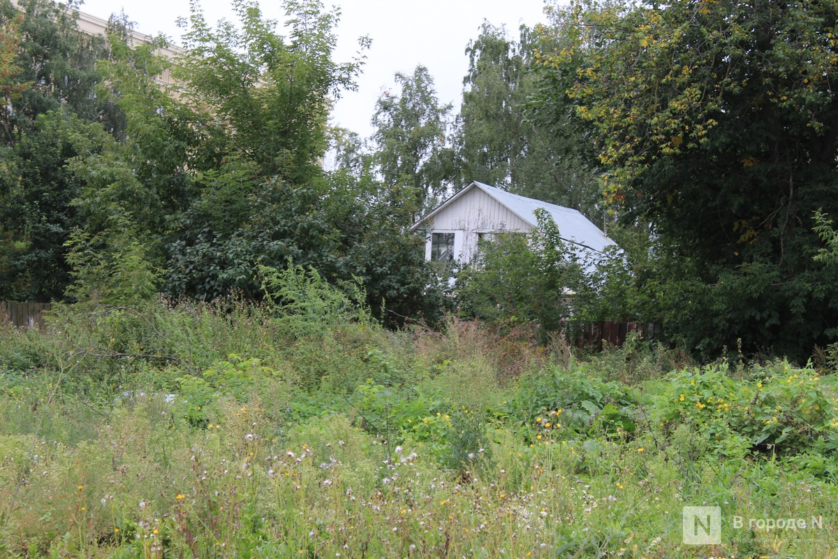 Нижегородцам показали, где будет построен правительственный квартал - фото 1