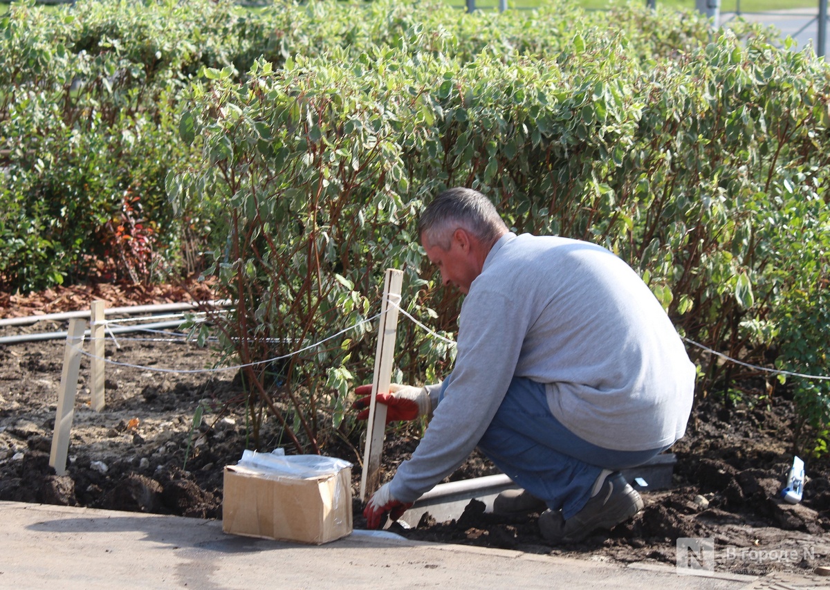 Подрядчик сорвал сроки благоустройства площади у Автозаводского универмага - фото 1