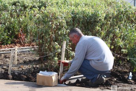 Подрядчик сорвал сроки благоустройства площади у Автозаводского универмага