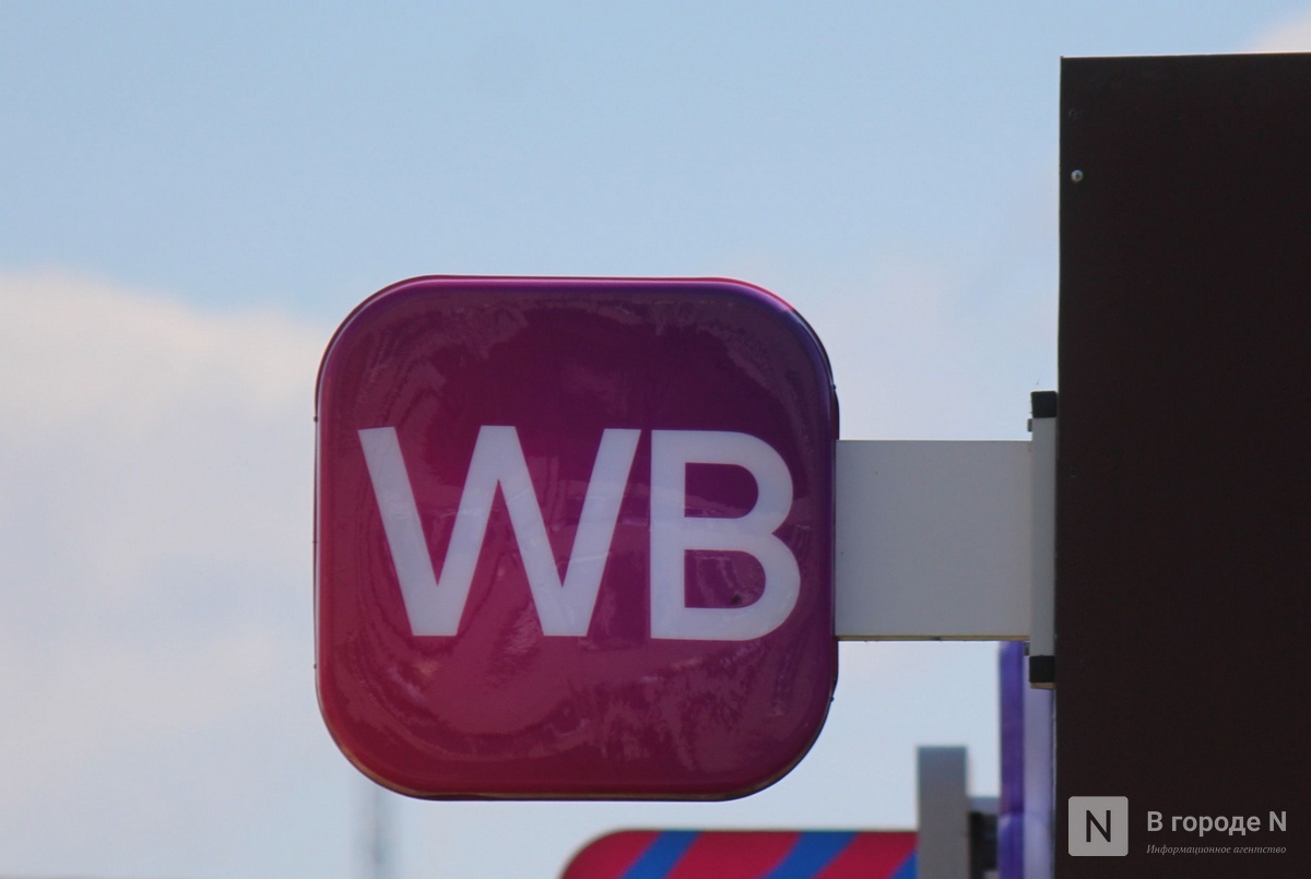 Суд отказал жителям Новинок в иске из-за склада Wildberries - фото 1