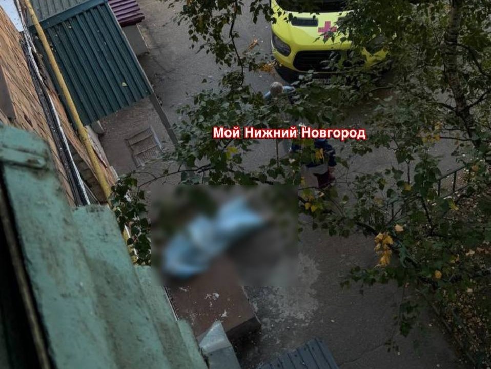 Труп нашли у пятиэтажки на улице Родионова в Нижнем Новгороде - фото 1
