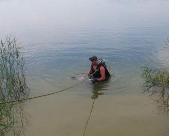 Тело 32-летнего мужчины обнаружено в водоеме в Навашинском районе - фото 1