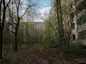 В Перевозском районе пропала 16-летняя девушка