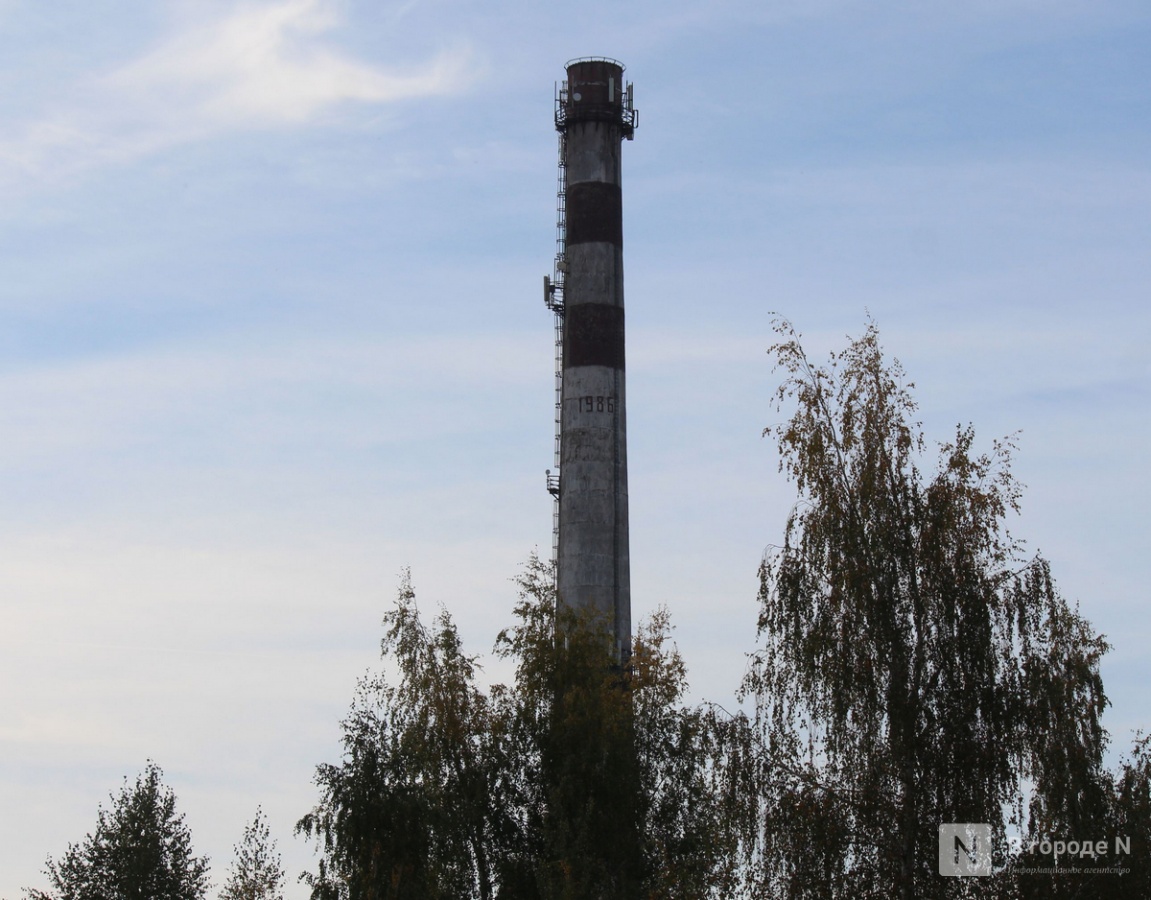 Власти объяснили необходимость строительства АЭС в Нижегородской области - фото 1