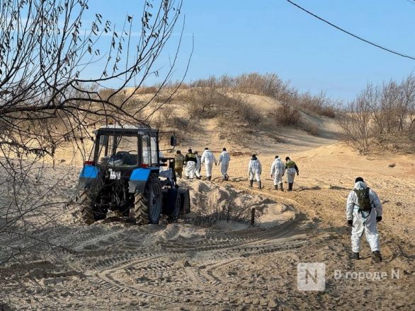 &laquo;Это наша общая боль&raquo;. Нижегородка рассказала, что происходит на месте экологической катастрофы в Анапе - фото 14