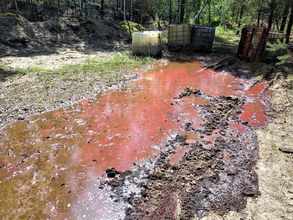 Химические отходы разлили в лесу Дзержинска - фото 2