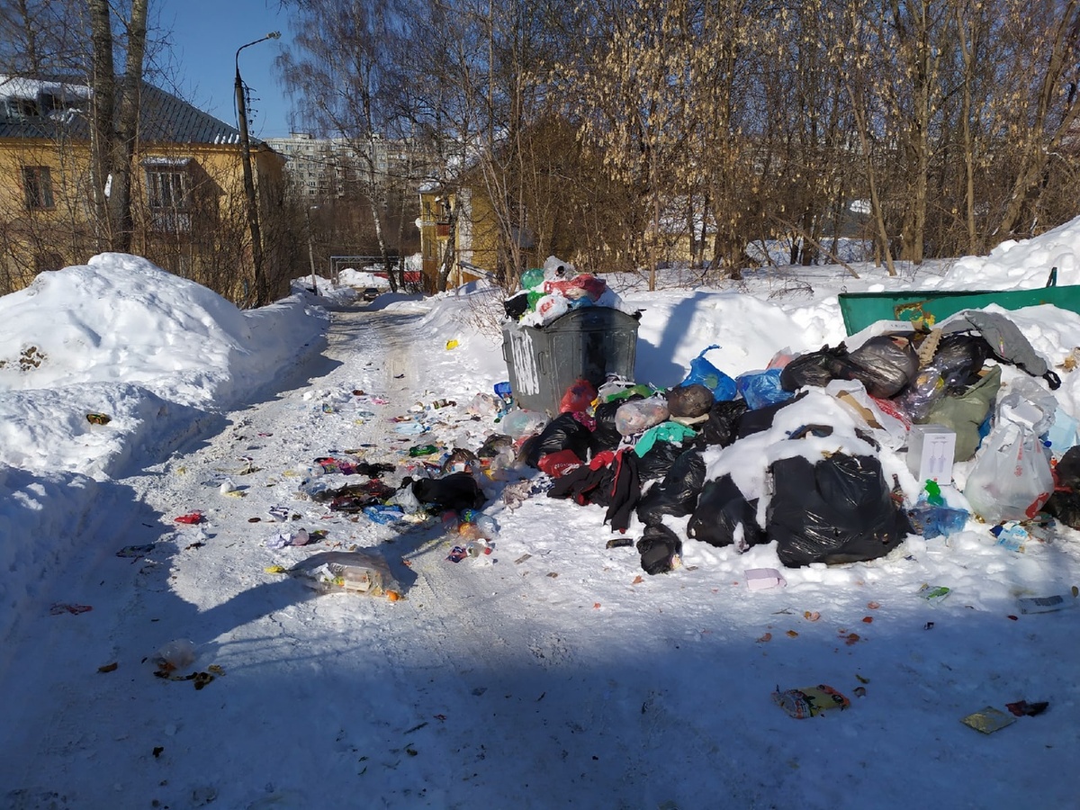&laquo;Нижэкология-НН&raquo; назвала причины несвоевременного вывоза мусора в Нижнем Новгороде - фото 2