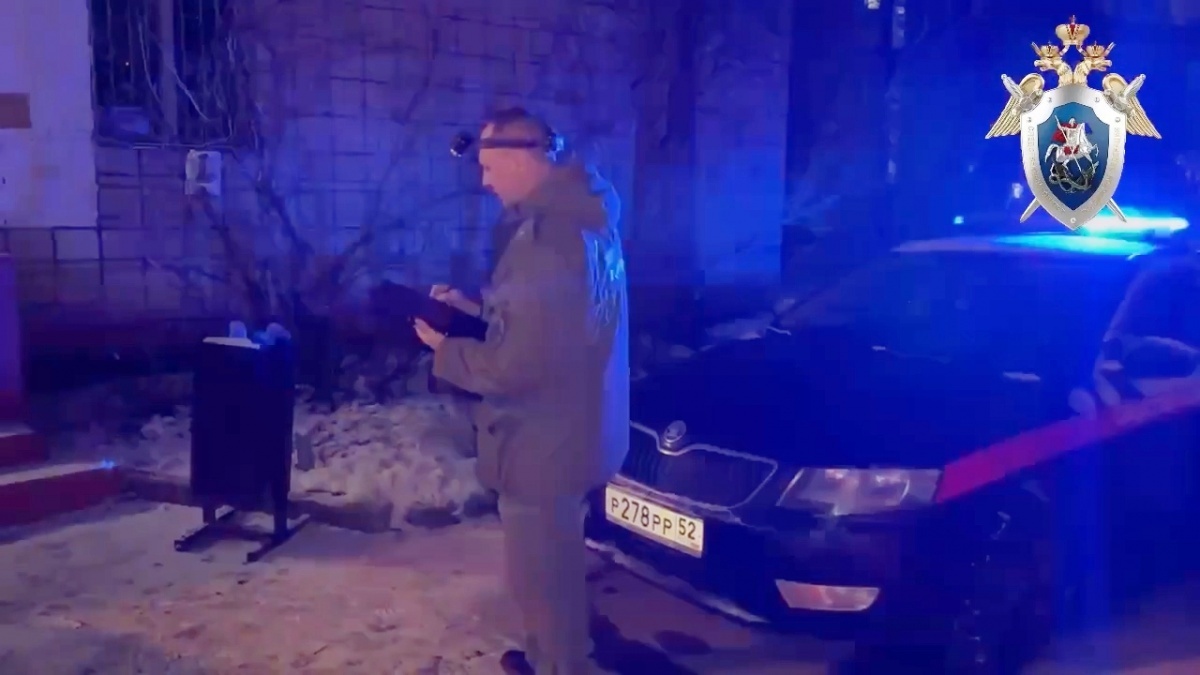 Обезглавившего пенсионерку саровчанина хотят положить в психбольницу - фото 1