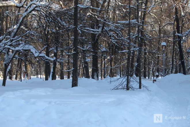 Долгий путь к преображению: как выглядит нижегородский парк Кулибина после благоустройства - фото 8