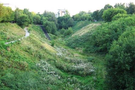 Террасный парк может появиться в Почаинском овраге в Нижнем Новгороде