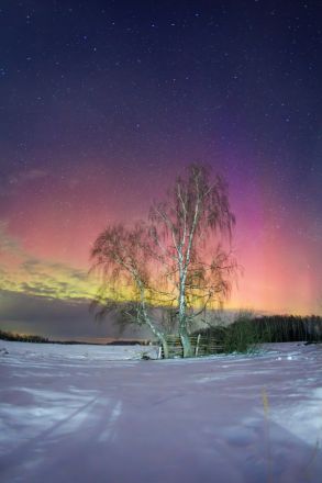Опубликованы фотографии северного сияния в Нижегородской области - фото 9