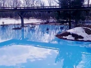Ликвидацией голубого озера в Дзержинске займется индустриальный парк «Ока-Полимер»