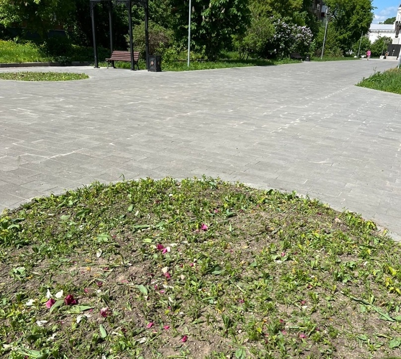 Нижегородцы массово жалуются на цветочных вандалов - фото 2