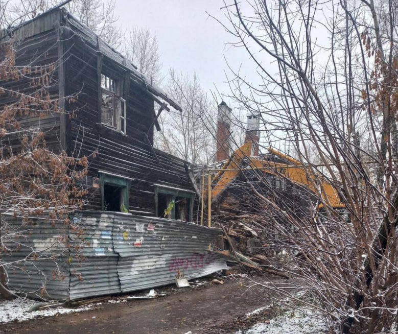 Нижегородцы бьют тревогу из-за сноса дома с щенками на улице Давыдова - фото 1