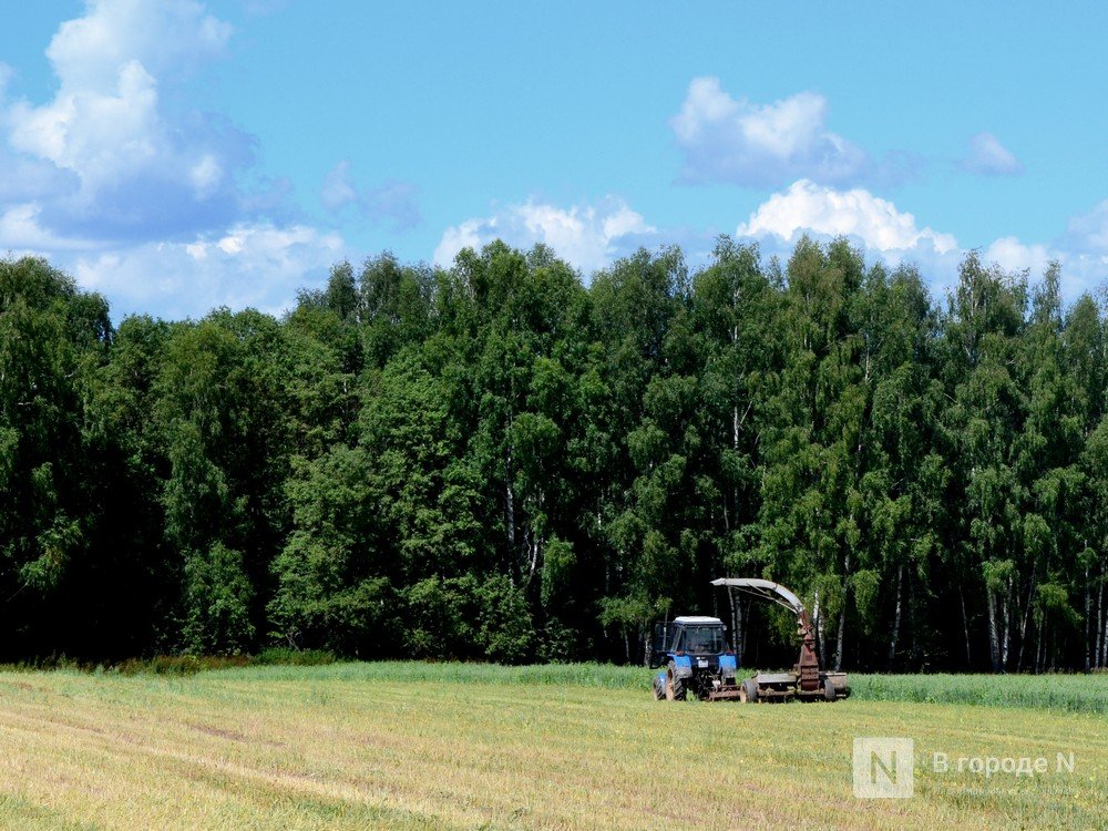 Аграрии Нижегородской области намолотили уже больше миллиона тонн зерна - фото 1