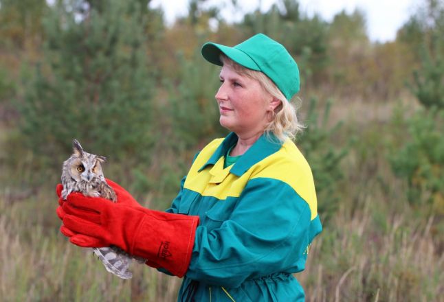 Четырех ушастых совят выпустили в природу специалисты нижегородского зоопарка - фото 2
