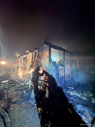 Мужчина погиб на пожаре в дачном доме в Нижегородской области - фото 2