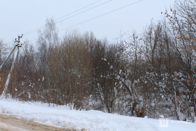 Здесь вырастут высотки: как выглядит площадка под КРТ на улице Янки Купалы в Нижнем Новгороде - фото 44