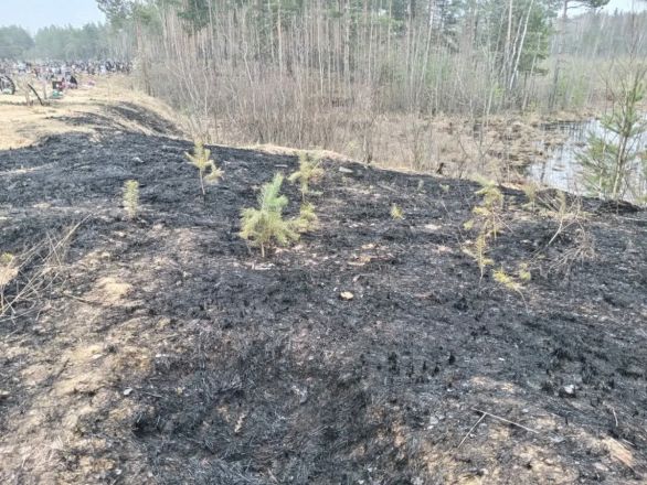 &laquo;Бесовщина в чистом виде&raquo;: пожар произошел на кладбище в Нижнем Новгороде - фото 3