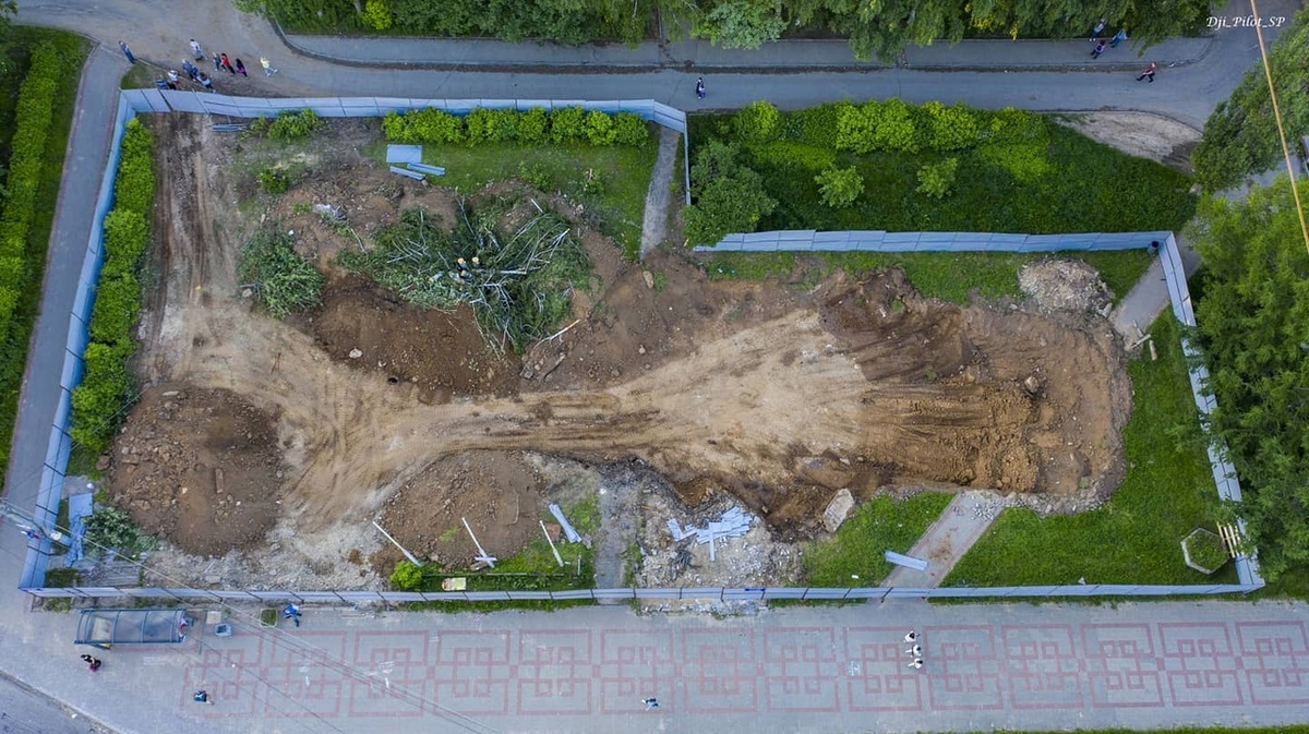 В Кузнечихе вырубили деревья ради строительства McDonald&rsquo;s - фото 1