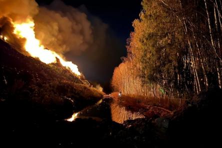 Пожар на полигоне ТБО в Нижегородской области: хронология, причины и страшные последствия