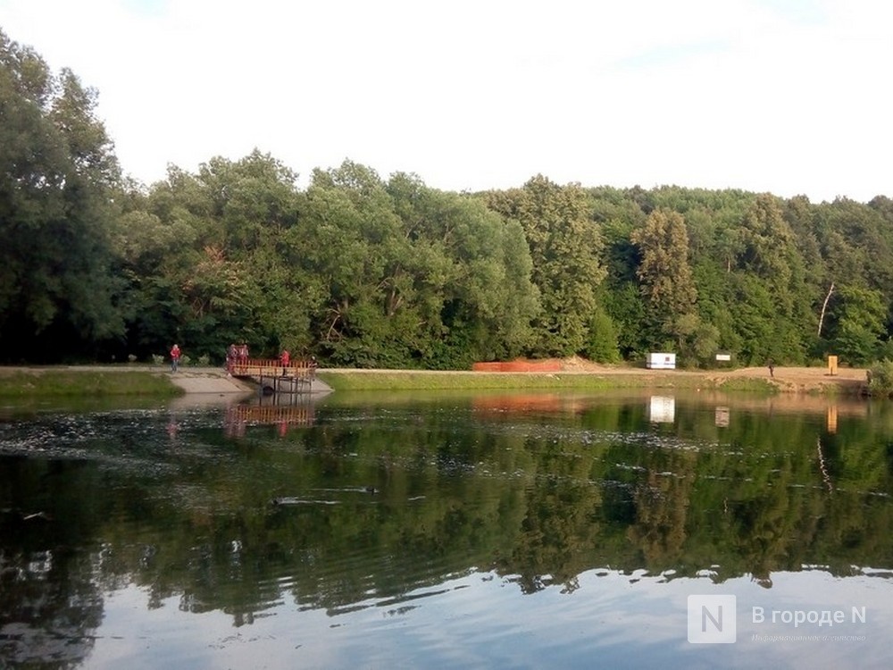 Подросток утонул в Нижнем Новгороде 1 июня - фото 1