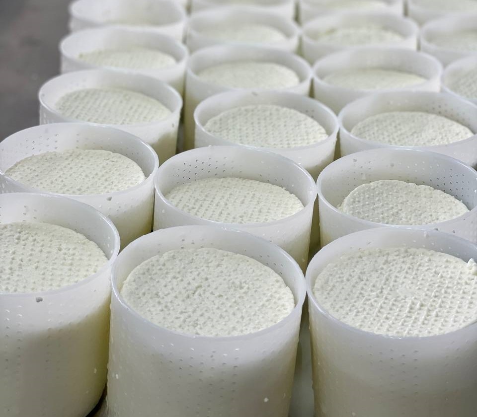Нижегородская &laquo;Молочная кухня&raquo; запустила производство мягких сыров - фото 1