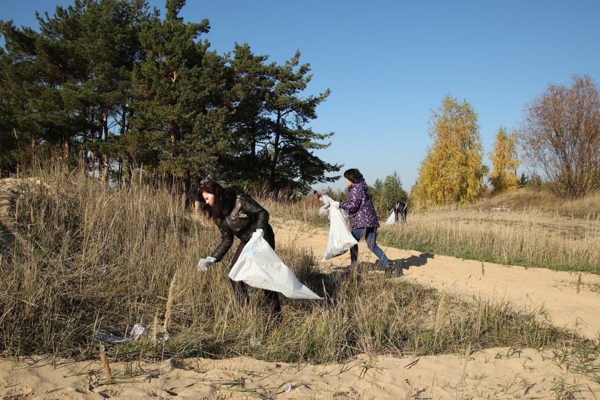 Берег водоема рядом с троллейбусным депо очистили от мусора в Дзержинске - фото 2