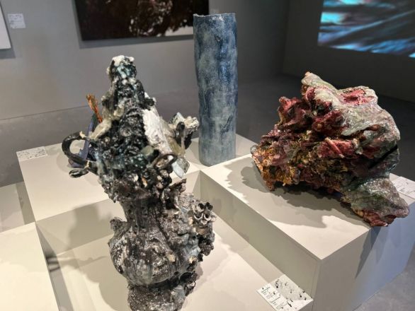 «Кожа Земли»: в Нижнем Новгороде проходит первая международная ЭкоБиеннале - фото 22