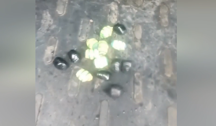 14 свертков с героином изъяли у сбытчика нижегородские полицейские - фото 1