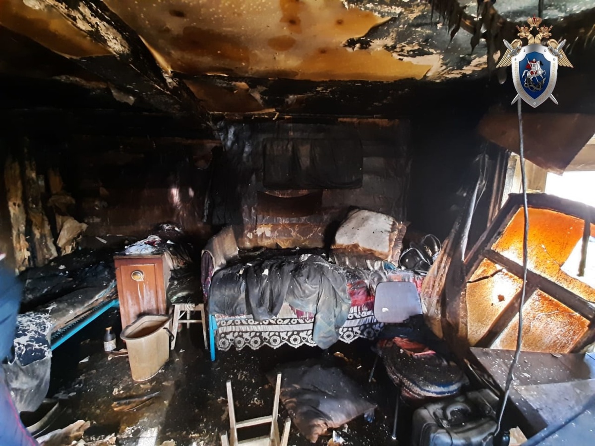 СК выясняет обстоятельства гибели пенсионерки на пожаре в Городецком районе - фото 1