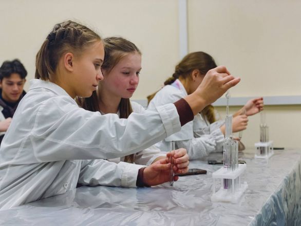 Химия успеха: научная программа для менделеевцев стартовала в Нижегородской области - фото 5