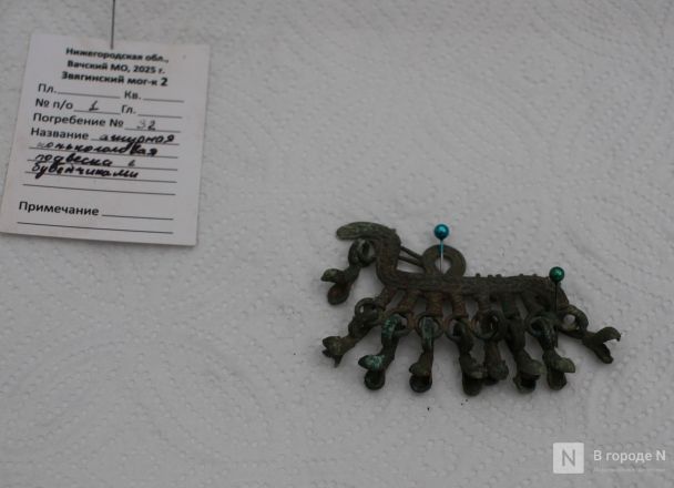 Могилы коней и старинные монеты: фоторепортаж с археологических раскопок в Нижегородской области - фото 43