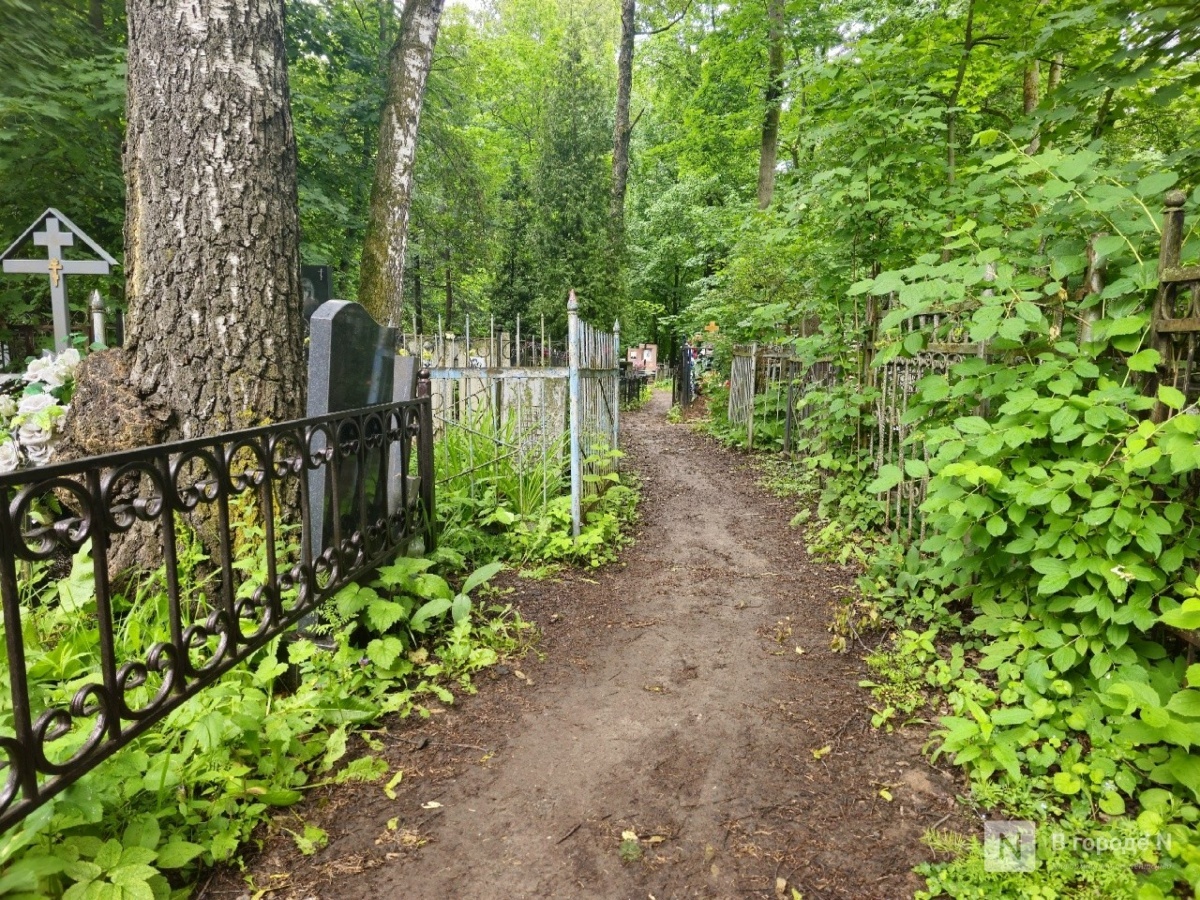 Еще одно кладбище в Нижнем Новгороде закрыли для свободных захоронений - фото 1