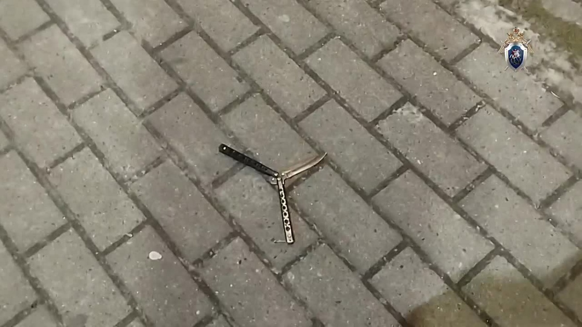 Уголовное дело возбуждено после убийства подростка сверстником в Кулебаках - фото 1