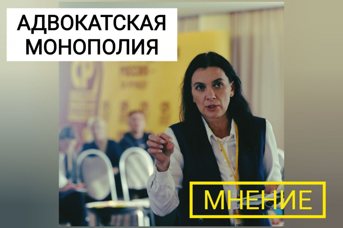 Депутат Гриневич высказалась о новом законопроекте об адвокатском статусе - фото 1