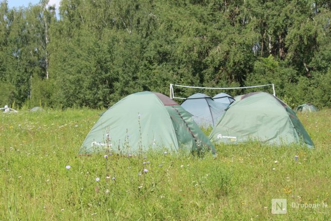 Могилы коней и старинные монеты: фоторепортаж с археологических раскопок в Нижегородской области - фото 40