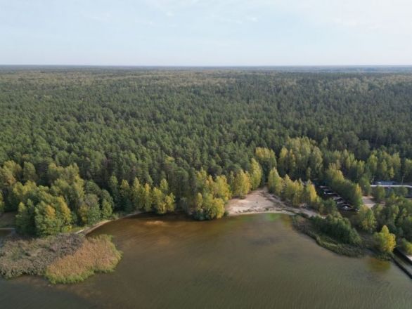 Популярную базу отдыха у Горьковского моря продают в Нижегородской области - фото 4