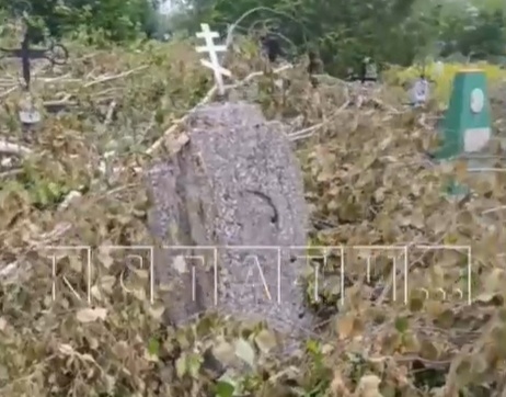 Кладбище в Нижегородской области завалили спиленными деревьями - фото 1