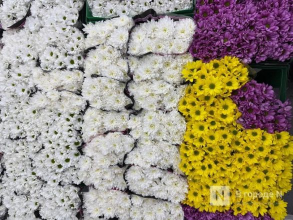 Придется разориться? Изучаем цены на цветы к 8 марта в Нижнем Новгороде - фото 31