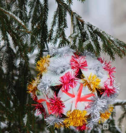 Пингвины, карусель и лунный каток: карта самых атмосферных новогодних локаций Нижнего Новгорода - фото 48