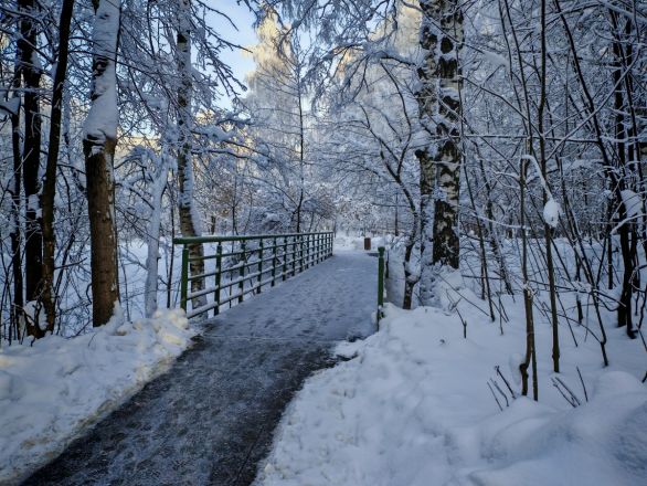 Аномальные морозы в Нижнем Новгороде: фоторепортаж из заснеженных парков - фото 16