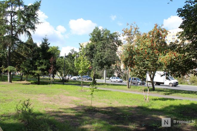 Благоустройство бульвара на проспекте Гагарина завершилось в Нижнем Новгороде - фото 43