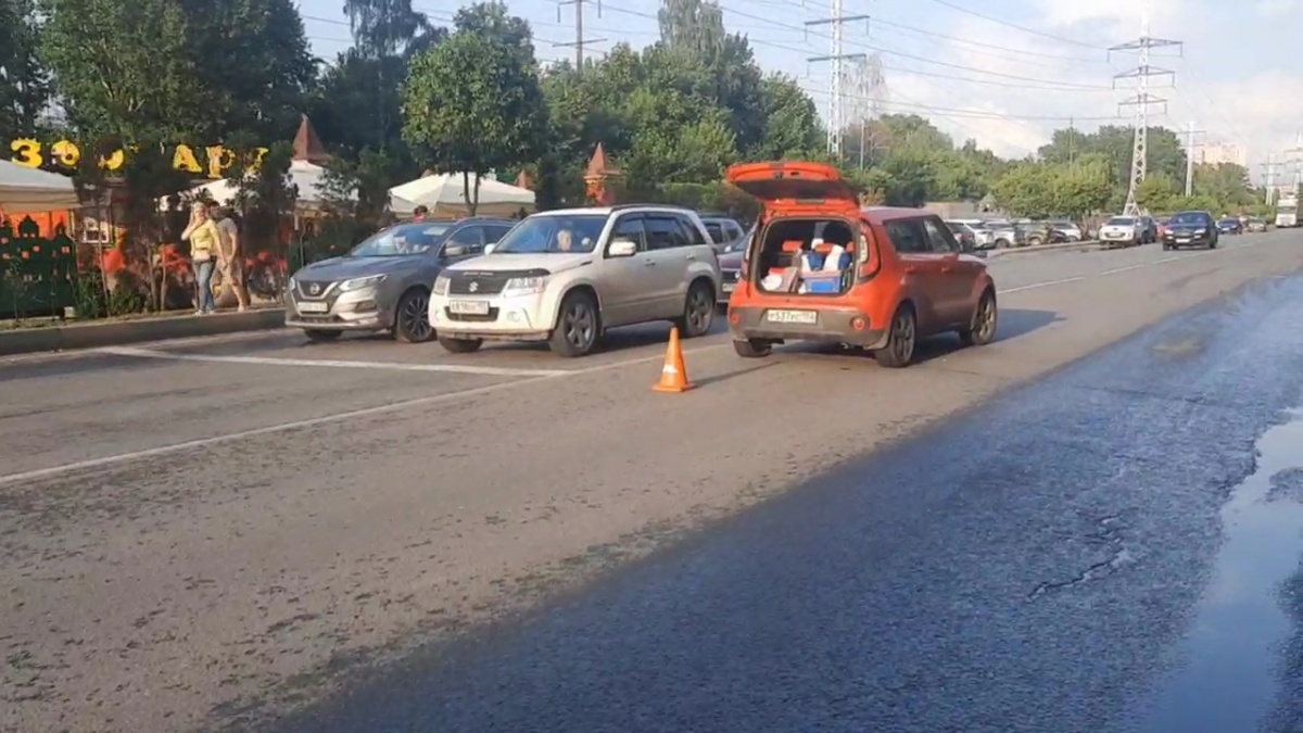 Женщина-водитель иномарки сбила ребенка возле нижегородского зоопарка - фото 1